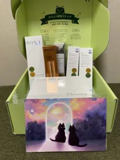 【新品】現品ギフト2点付 VT TXトーニングシリーズ セット トラネキサム酸