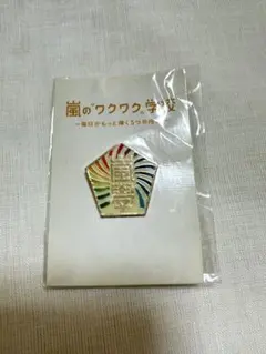 入手困難★未開封★嵐のワクワク学校ピンバッジ