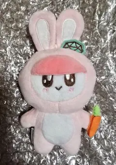 新品】SEVENTEEN着ぐるみBONGBONG(ボンボンイ)ブタver. - メルカリ