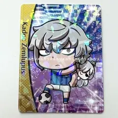 FGO コレクションカード サッカー カドック アナスタシア