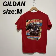 【US古着】ギルダン 半袖シャツ Tシャツ バックプリント ウルトラコットン Mのサムネイル
