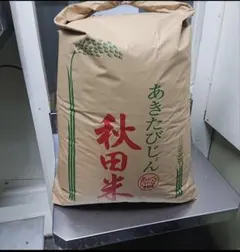 R7年産◎低農薬 【特別栽培米】あきたこまち 玄米10kg - メルカリ