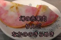 超激レア★なかののきらめき3kg★赤果肉りんご★ラスト