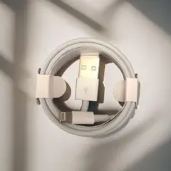 lightningケーブル 充電器