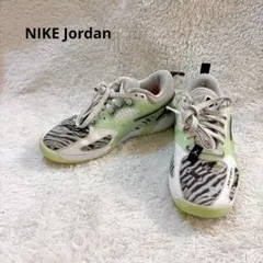 NIKE Jordan Heir PF 24cm 総柄 ネオン Y2K レアのサムネイル