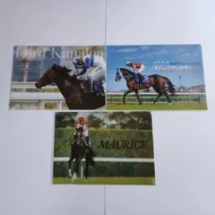 【非売品】JRA 競馬クリアファイルロードカナロア オジュウチョウサン モーリス