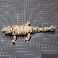 【カスタム作品】アルマジロトカゲ フィギュア 可動モデルのサムネイル
