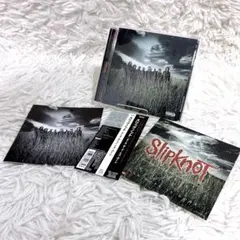 2026年最新】slipknot レコードの人気アイテム - メルカリ