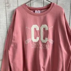 m*n様 古着　長袖　スウェット 裏起毛　刺繍　　アメカジ ゆるだぼ　くすみカラ