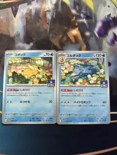 コダック　ゴルダック　しめりけ　ジムプロモ