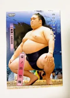 Item thumbnail for item 603fc053-5e87-4012-909f-6e602a953555