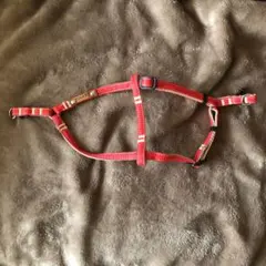 Item thumbnail for item 6c58ae37-1b7b-47b4-bf26-b16c96b85e86