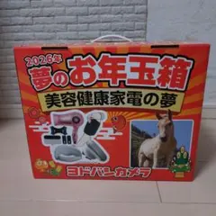 2026年最新】夢のお年玉箱の人気アイテム - メルカリ