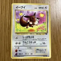 イーブイ ● 第2弾拡張パック ポケモンジャングル
