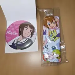 デジモンアドベンチャー　八神ヒカリ　缶バッジ　まとめ売り