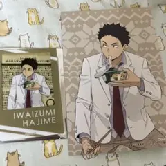 ハイキュー はふはふ 岩泉一 ポストカード アクリルカード