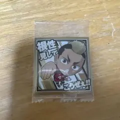 ハイキューウエハース山本猛虎