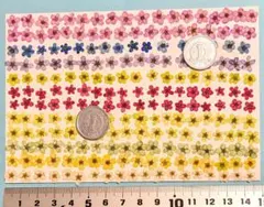 Item thumbnail for item abc5e9d0-e5d9-470b-ab03-7fdba062f240