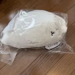 ふわもち！くまだらけぬいぐるみくじ ナガノのくま D賞 未開封