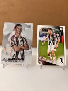 Item thumbnail for item aa5191ef-9d40-45eb-bb64-fa898eaf781e