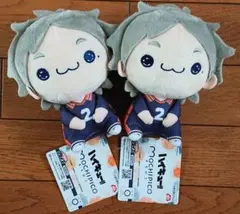 24時間以内に発送！ ハイキュー!! もちぴこ ぬいぐるみ ⑤ 菅原孝支 2個