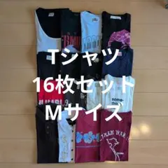 Tシャツ 16枚セット Mサイズ