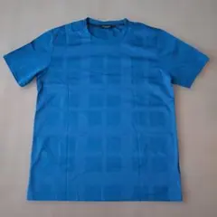 BLACK LABEL CRESTBRIDGE Tシャツ L 青