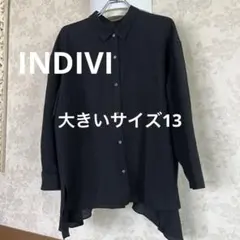 美品 秋冬インディヴィ 洗える 長袖ブラウス サイズ13 大きいサイズ 黒 