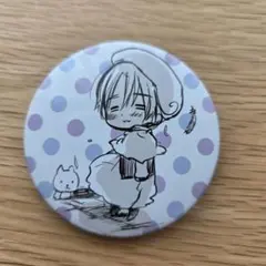 らんま1/2 人気2トップ『八宝菜』と天童あかね 缶バッジ - メルカリ