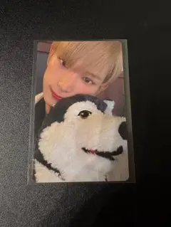 &TEAM HARUA ハルア　雪明かり　トレカ