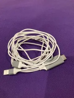 HDMIミラーリングケーブル 2m ホワイト PG-PG-IPTV04WH