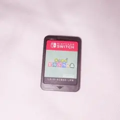 あつまれどうぶつの森 Switch