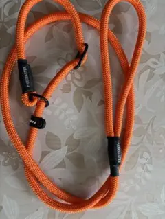 Item thumbnail for item 1370bd1b-d022-4ed0-bece-fcc5aafe5d04