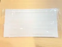 マスク 10枚セット