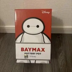 BAYMAX POTTERY POT