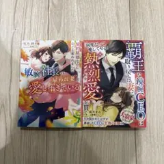 ベリーズ文庫 2冊セット