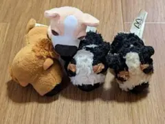 2026年最新】Dog ハッピーセットの人気アイテム - メルカリ