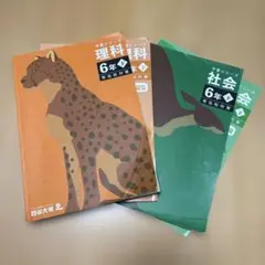 四谷大塚 予習シリーズ 6年下 理科 社会 有名校対策