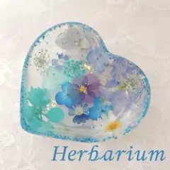 固まるハーバリウム