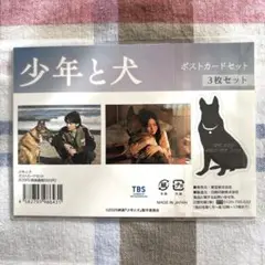 2025映画「少年と犬」 ポストカードセット 定価605円