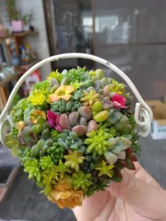 ともみん様 リクエスト 2点 まとめ商品