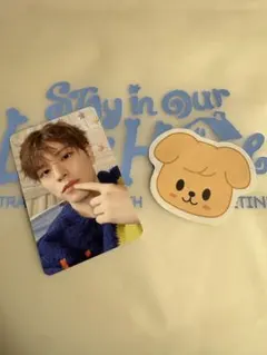 StrayKids ペンミ　入場特典　トレカ　スンミン【匿名配送】
