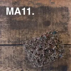 Item thumbnail for item dace45ea-2819-4360-9895-47588a19448d