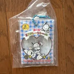 ポチャッコ フレークシール風チャーム サンリオ