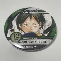 ハイキュー!! 原作 缶バッジ 山口忠