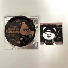 straykids エコパスタジアム ホログラム缶バッジ ステッカー ハン