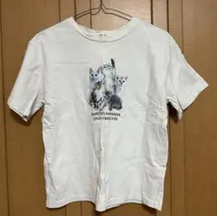アプレジュール 猫 Tシャツのサムネイル