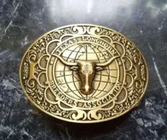 テキサス　ロングホーン Texas Longhorn Cows & Bulls for Sale in Ohio | Dickinson