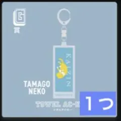 Eve タオルアクキー　TAMAGONEKO アクリルキーホルダー　Eveくじ