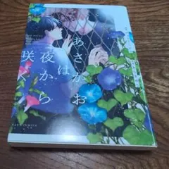青ブタ 積み重なる思い出 桜島麻衣 ofr - メルカリ